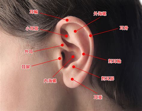 哪裡可以皈依三寶 疼痛指數耳洞位置